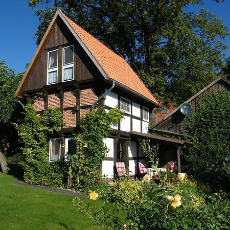 Neu! Bauern-Speicher Anno 1606 Wienhausen Luaran gambar